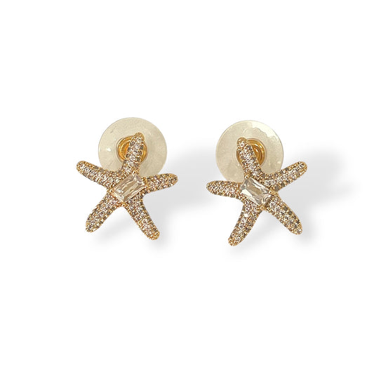 B014 Orecchini Star